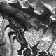 Illustration for article titled The 15 Most Ridiculous Badasses From iWarhammer 40K/i